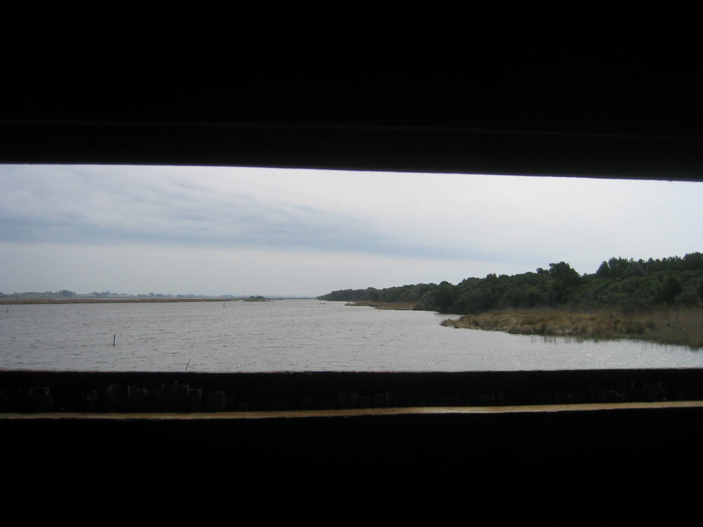 OASI WWF LAGO DI BURANO